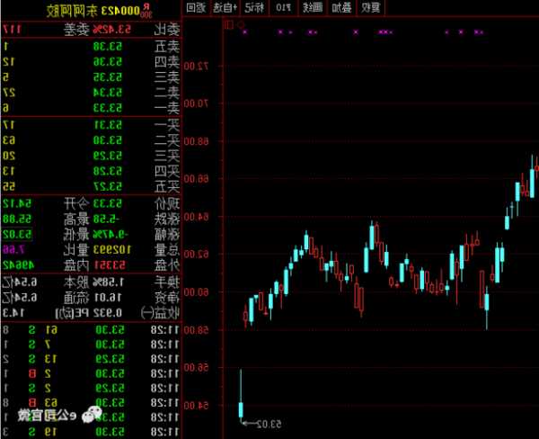 泰尼特保健盘中异动 股价大涨9.47%